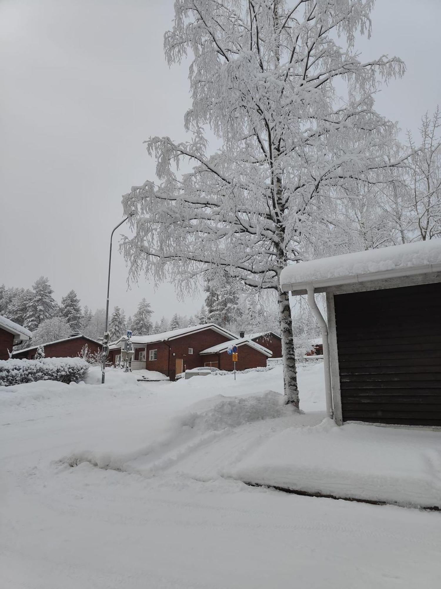Cozy Forest Retreat In Kuopio - Perfect For Families Work Trips Zewnętrze zdjęcie